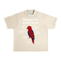 Sandshell Anatomy of a female Eclectus Parrot Urban Heavy Tee - trangStudio