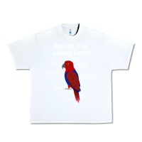 White Anatomy of a female Eclectus Parrot Urban Heavy Tee - trangStudio