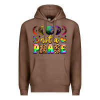 Chestnut not a phase pride moon Premium Hoodie - LillyAllenDesigns