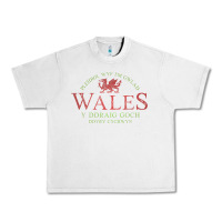 Lunar Rock Rugby Welsh Gift Red Dragon Flag of Wales Urban Heavy Tee - trangStudio