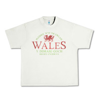 Pistachio Rugby Welsh Gift Red Dragon Flag of Wales Urban Heavy Tee - trangStudio
