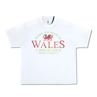 White Rugby Welsh Gift Red Dragon Flag of Wales Urban Heavy Tee - trangStudio