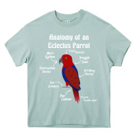 Arona Anatomy of a female Eclectus Parrot Heavy Core Tee - trangStudio