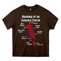 Chocolate Brown Anatomy of a female Eclectus Parrot Heavy Core Tee - trangStudio