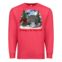 Cardinal greetings of the season y'all with armadillo Premium Sweatshirt - BarkalooDesign