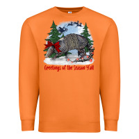 Carrot greetings of the season y'all with armadillo Premium Sweatshirt - BarkalooDesign