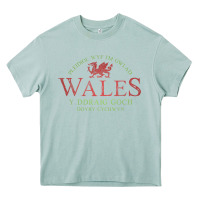 Arona Rugby Welsh Gift Red Dragon Flag of Wales Heavy Core Tee - trangStudio