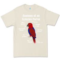 Bone Anatomy of a female Eclectus Parrot Premium Tee - trangStudio
