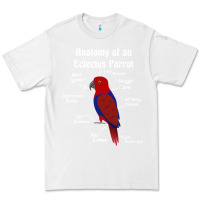 White Anatomy of a female Eclectus Parrot Premium Tee - trangStudio