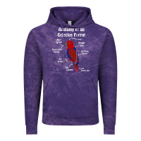 Cloud Purple Anatomy of a female Eclectus Parrot Vintage Hoodie - trangStudio