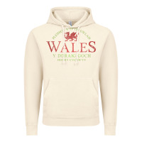 Vintage Artic Rugby Welsh Gift Red Dragon Flag of Wales Vintage Hoodie - trangStudio