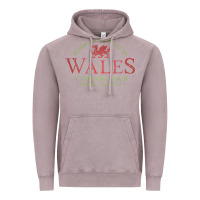 Vintage Zinc Rugby Welsh Gift Red Dragon Flag of Wales Vintage Hoodie - trangStudio