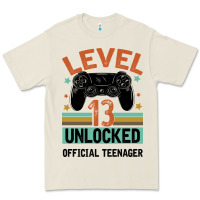 Level 13 Unlocked Official Teenager 13th Birthday Premium Tee | Teevron