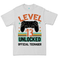 Dove Grey Level 13 Unlocked Official Teenager 13th Birthday Premium Tee - Bettercallsaul