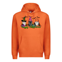 Carrot Happy Halloween Gnome Pumpkin Premium Hoodie - RanaPortraitStore