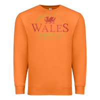 Carrot Rugby Welsh Gift Red Dragon Flag of Wales Premium Sweatshirt - trangStudio