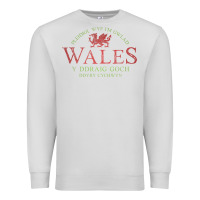 Dove Grey Rugby Welsh Gift Red Dragon Flag of Wales Premium Sweatshirt - trangStudio