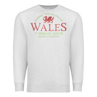 Oatmeal Heather Rugby Welsh Gift Red Dragon Flag of Wales Premium Sweatshirt - trangStudio