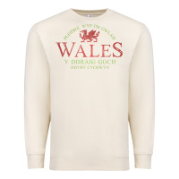 Sandshell Rugby Welsh Gift Red Dragon Flag of Wales Premium Sweatshirt - trangStudio