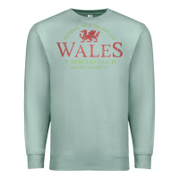 Seafoam Rugby Welsh Gift Red Dragon Flag of Wales Premium Sweatshirt - trangStudio
