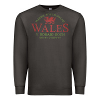 Smoke Rugby Welsh Gift Red Dragon Flag of Wales Premium Sweatshirt - trangStudio