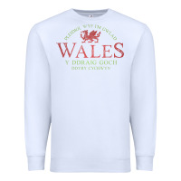 Rugby Welsh Gift Red Dragon Flag Of Wales Premium Sweatshirt | Teevron