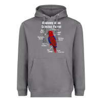 Storm Anatomy of a female Eclectus Parrot Heavyweight Hoodie - trangStudio