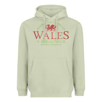 Matcha Rugby Welsh Gift Red Dragon Flag of Wales Heavyweight Hoodie - trangStudio