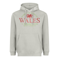 Moon Dust Rugby Welsh Gift Red Dragon Flag of Wales Heavyweight Hoodie - trangStudio