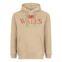 Mushroom Rugby Welsh Gift Red Dragon Flag of Wales Heavyweight Hoodie - trangStudio