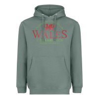 Sage Rugby Welsh Gift Red Dragon Flag of Wales Heavyweight Hoodie - trangStudio