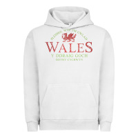 Pigment Lunar Rock Rugby Welsh Gift Red Dragon Flag of Wales Urban Hoodie - trangStudio