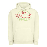 Pigment Pistachio Rugby Welsh Gift Red Dragon Flag of Wales Urban Hoodie - trangStudio