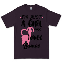 Plum Just A Girl Who Loves Llamas I Love Llamas Premium Tee - Bettercallsaul