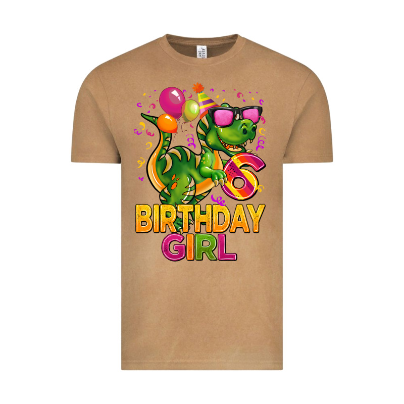 6th Birthday Girl T Rex Pink Vintage Tee by CowGirlArtShop | Teevron
