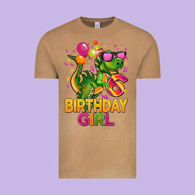 6th Birthday Girl T Rex Pink Vintage Tee Designed By Cowgirlartshop