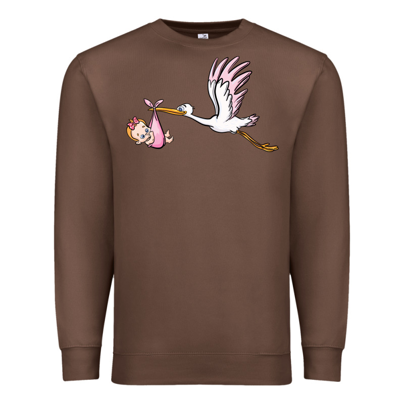Stork With Baby Girl Premium Sweatshirt by BarkalooDesign | Teevron