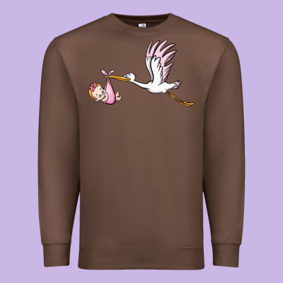 Stork With Baby Girl Premium Sweatshirt Designed By Barkaloodesign
