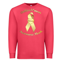 Cardinal childhood cancer awareness children cure kids Premium Sweatshirt - DesignPulse