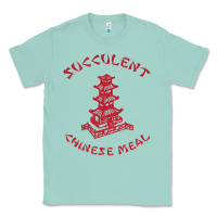 Seafoam SUCCULENT CHINESE MEAL CHINESE TAKE OUT TAKE AWAY Classic Tee - DesignPulse