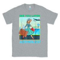 Heather Grey see you later assholes t shirt Classic Tee - DesignPulse