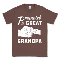 Chestnut Promoted to Great Grandpa Classic Tee - PixelWave