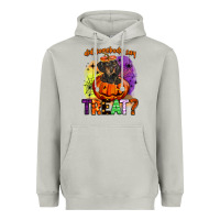 Moon Dust did somebody say treat Heavyweight Hoodie - BarkalooDesign