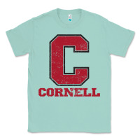 Seafoam cornell big red Classic Tee - Craftify