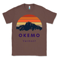 Chestnut Okemo Vermont Skiing Snowboarding Hikers Gifts for VT Travel Classic Tee - InspiraDesign