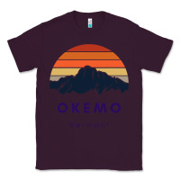Plum Okemo Vermont Skiing Snowboarding Hikers Gifts for VT Travel Classic Tee - InspiraDesign
