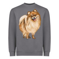 Storm Pomeranian Dog Illustrations Heavyweight Sweatshirt - LillyAllenDesigns
