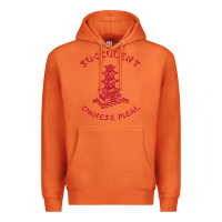 Carrot SUCCULENT CHINESE MEAL CHINESE TAKE OUT TAKE AWAY Premium Hoodie - DesignPulse