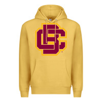 Antique Gold bethune cookman Premium Hoodie - DesignPulse
