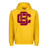 Lemon bethune cookman Premium Hoodie - DesignPulse